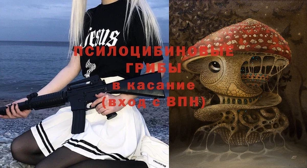 PSILOCYBIN Аркадак