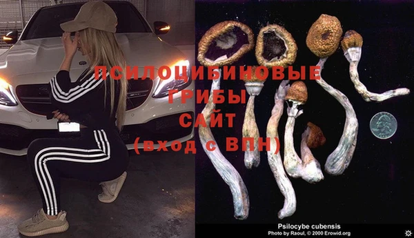 соль ск Арсеньев