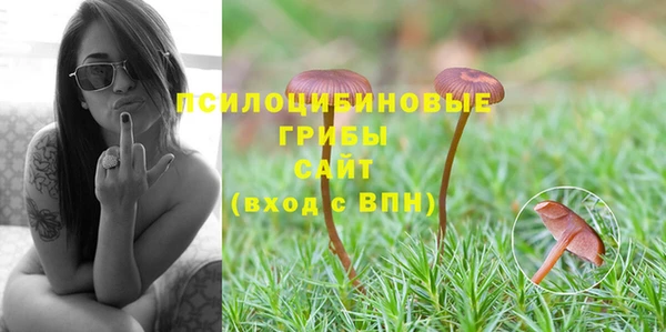 PSILOCYBIN Аркадак