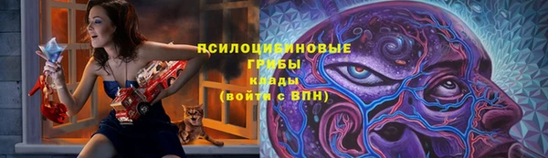 соль ск Арсеньев